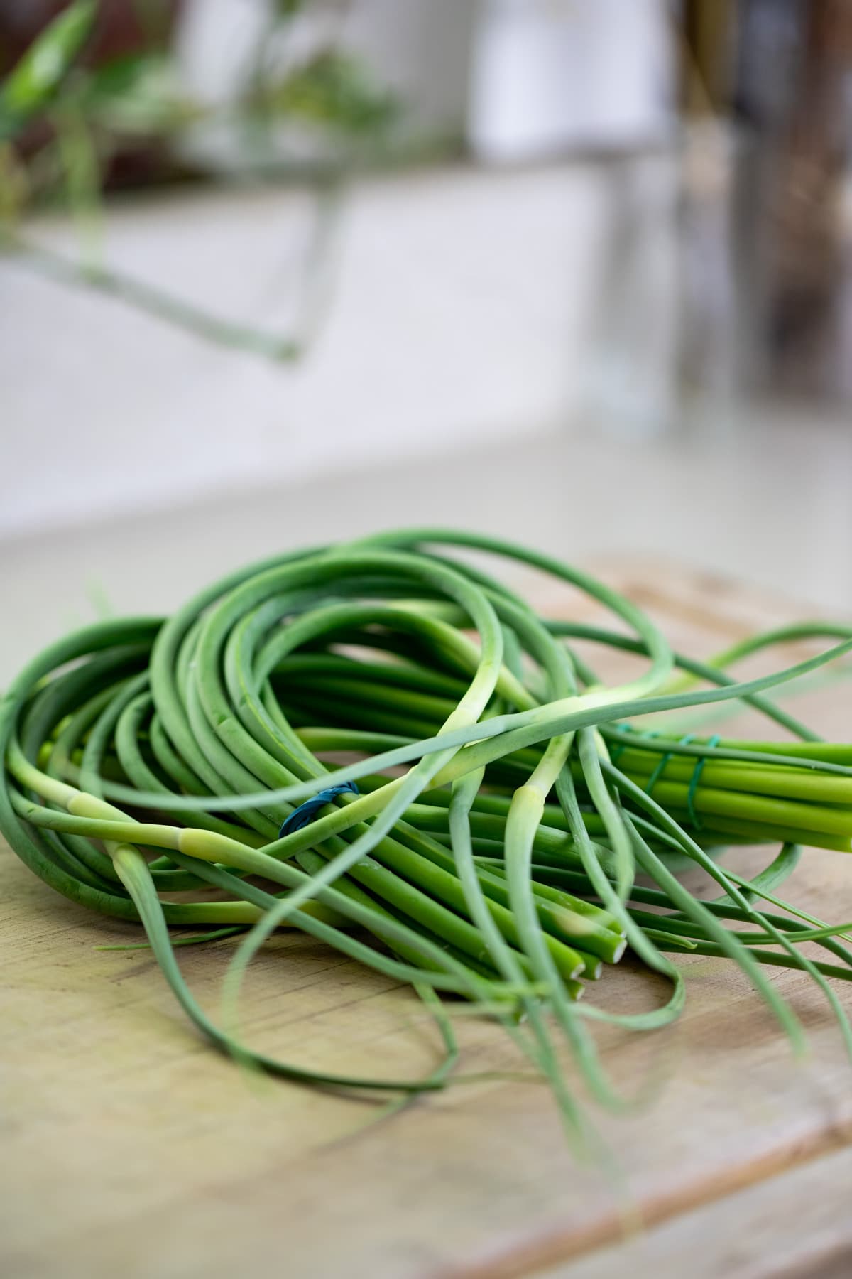 fresh garlic scapes