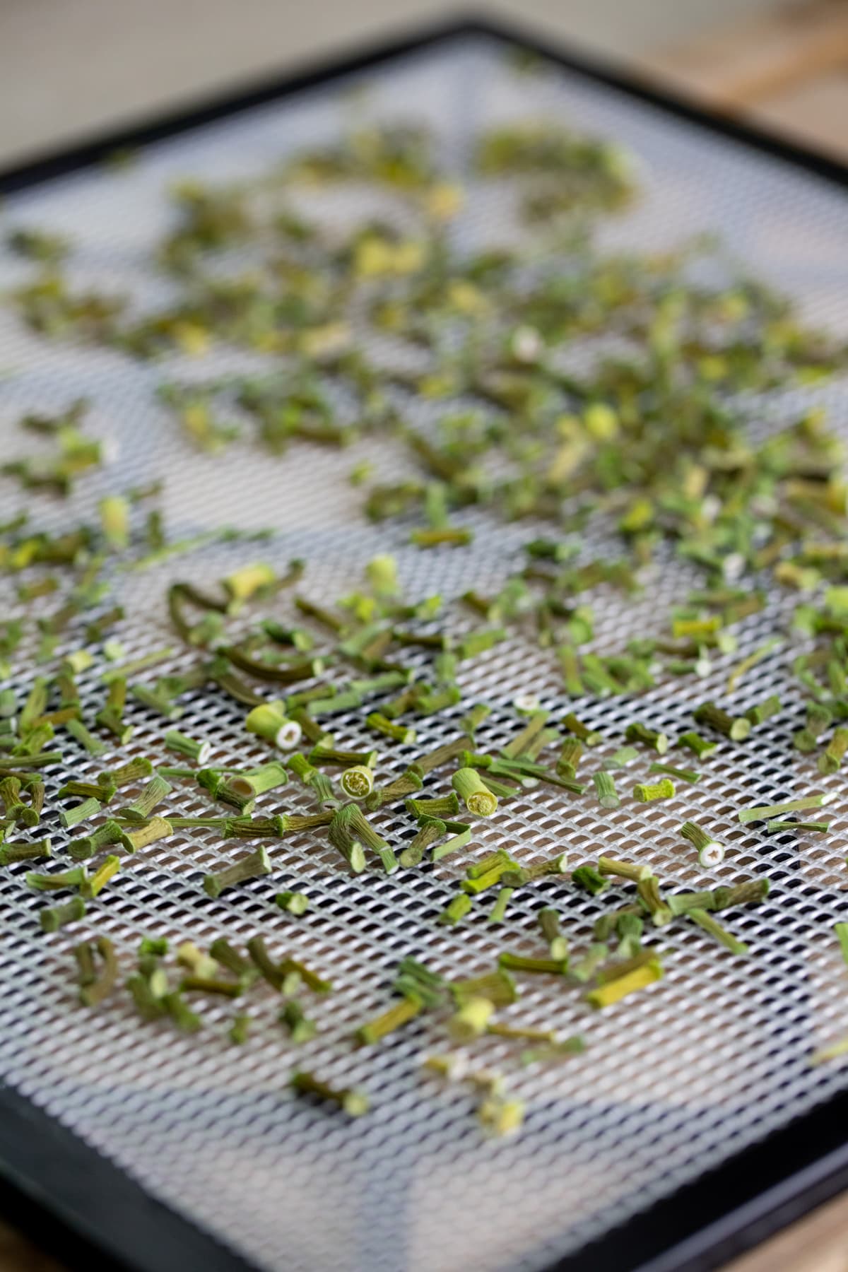 garlic scapes after dehydrating