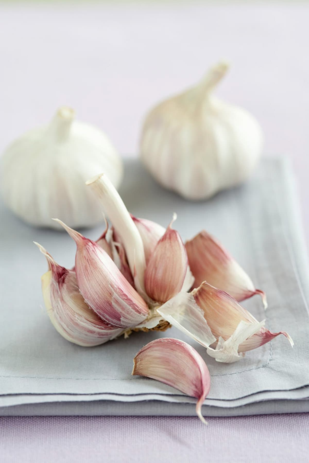 garlic cloves ready for planting