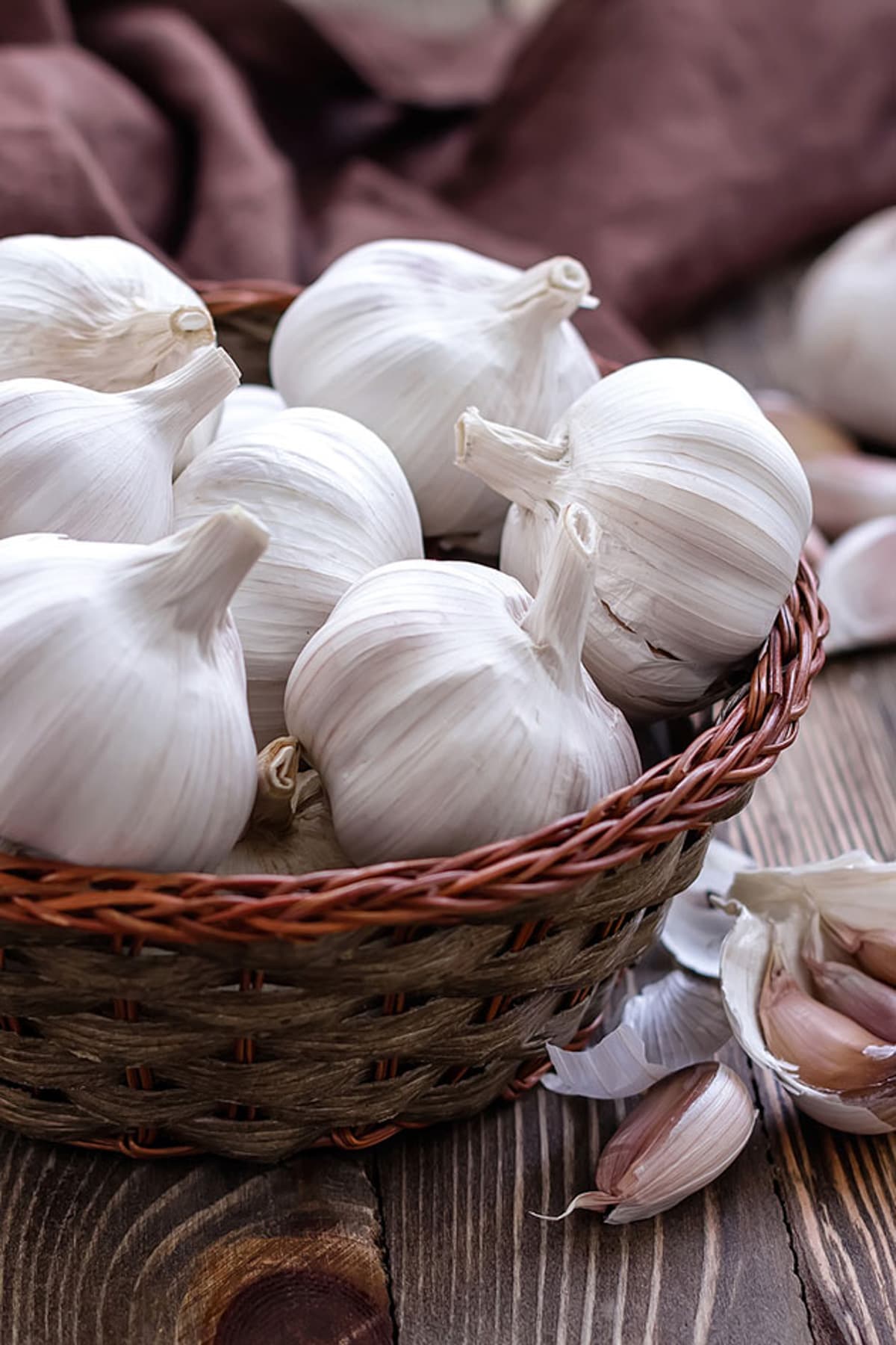 garlic bulbs ready for storage