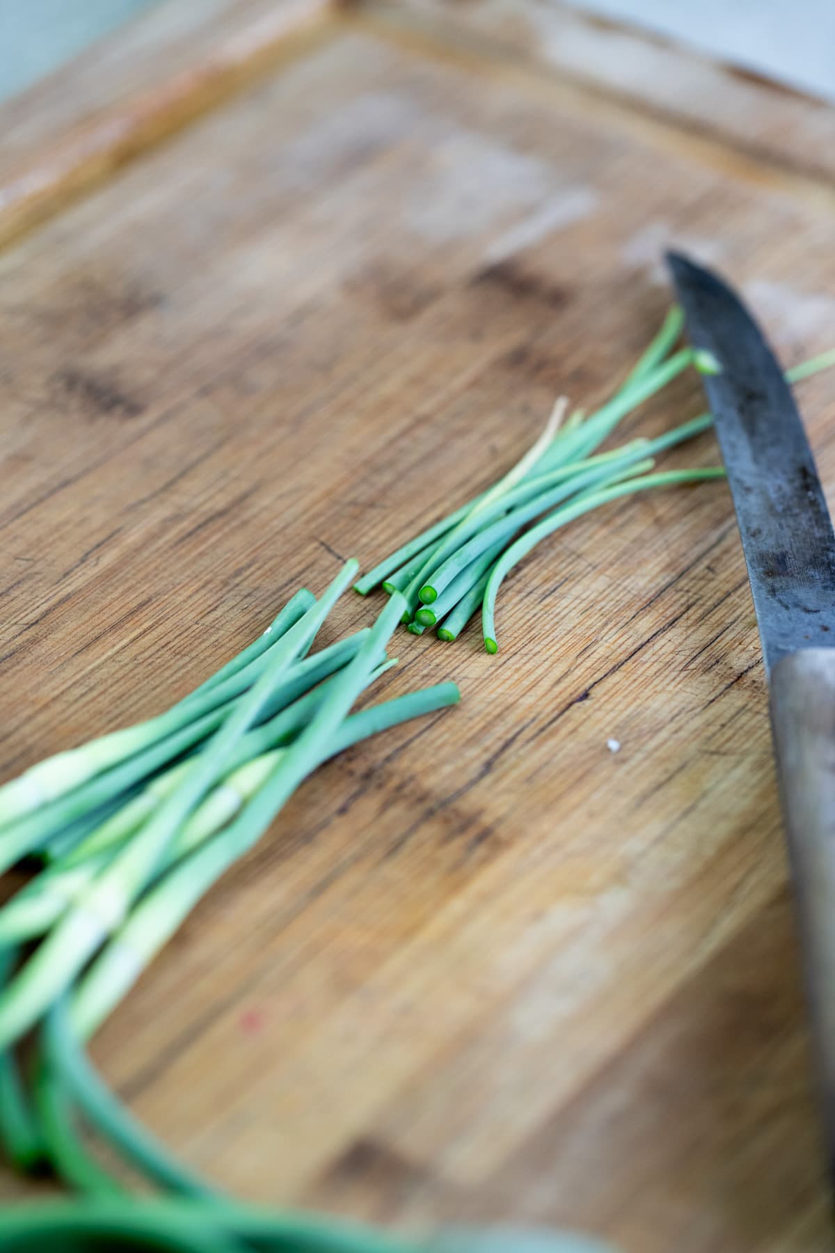 cutting the garlic scape into smaller pieces