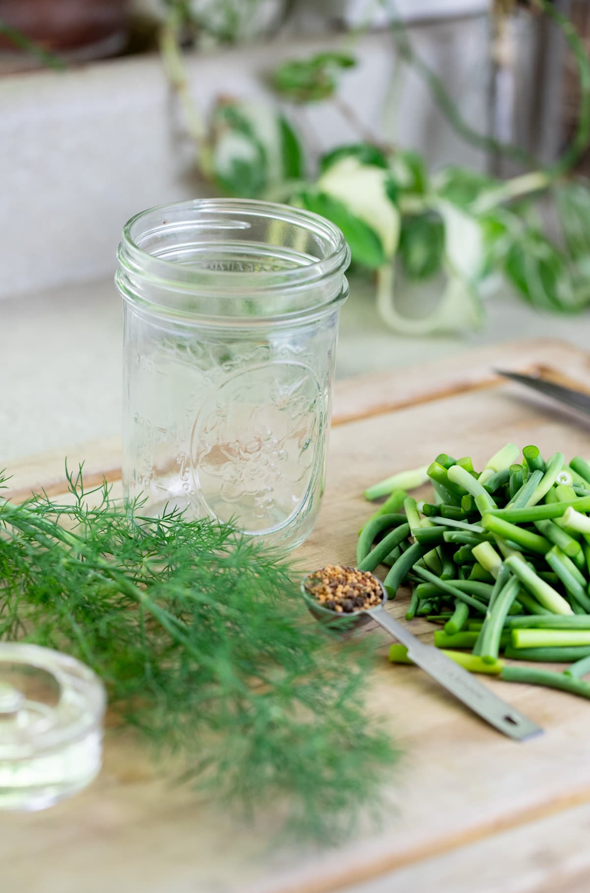 ingredients for fermented garlic scapes