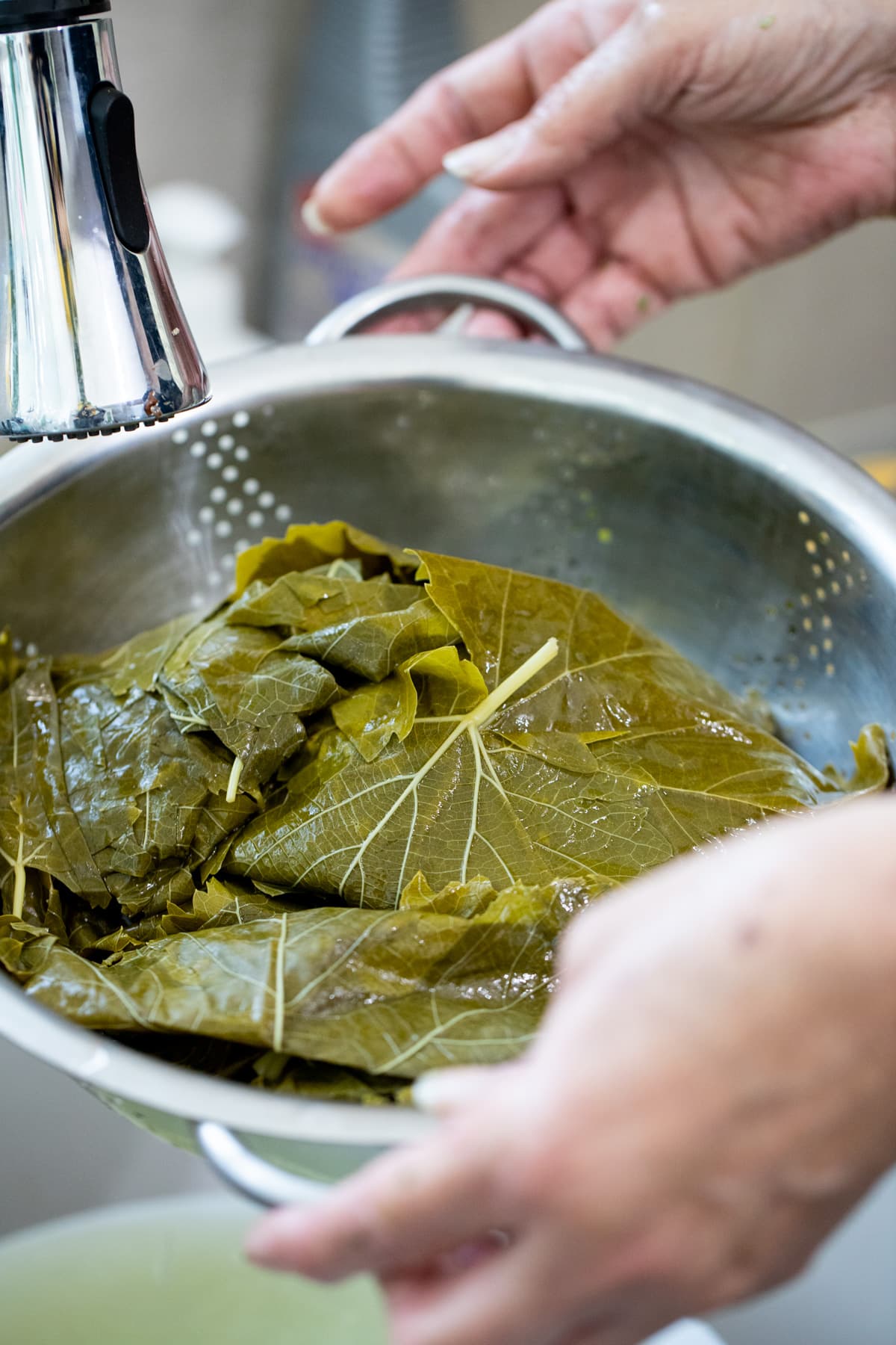 washing the grape leaves