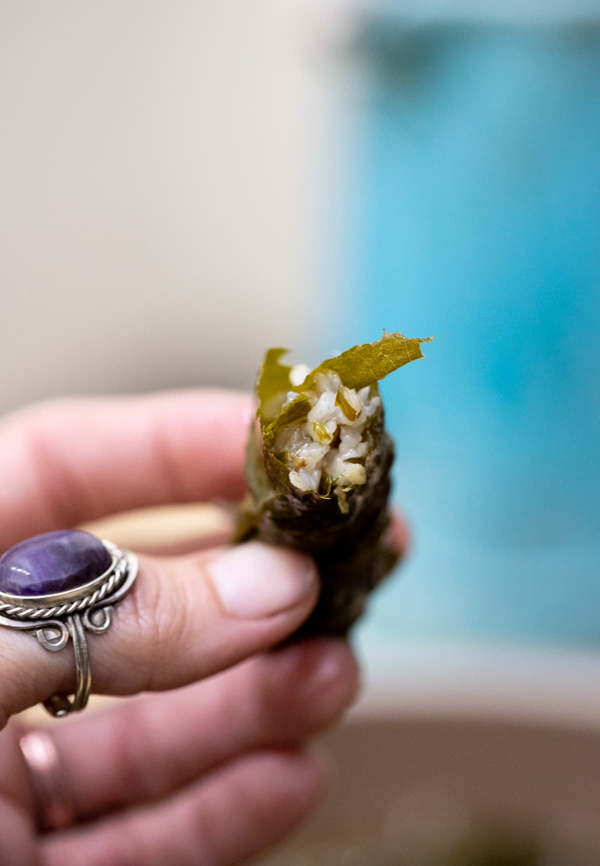 whats inside of the stuffed cooked grape leaf
