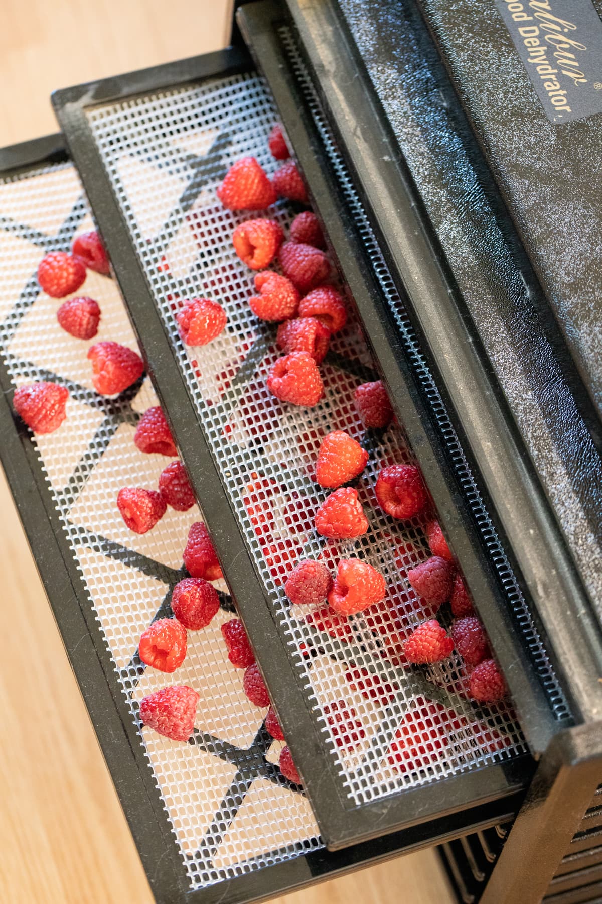 adding the trays to the dehydrator