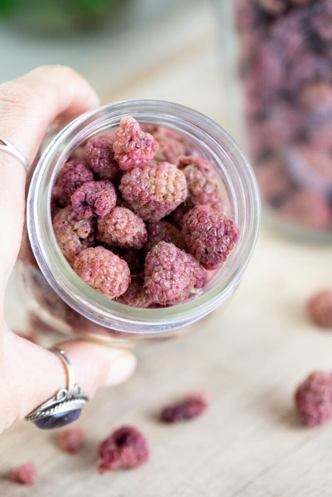 Dejuiced Raspberry Dehydrating Raspberries - Lady Lee's Home