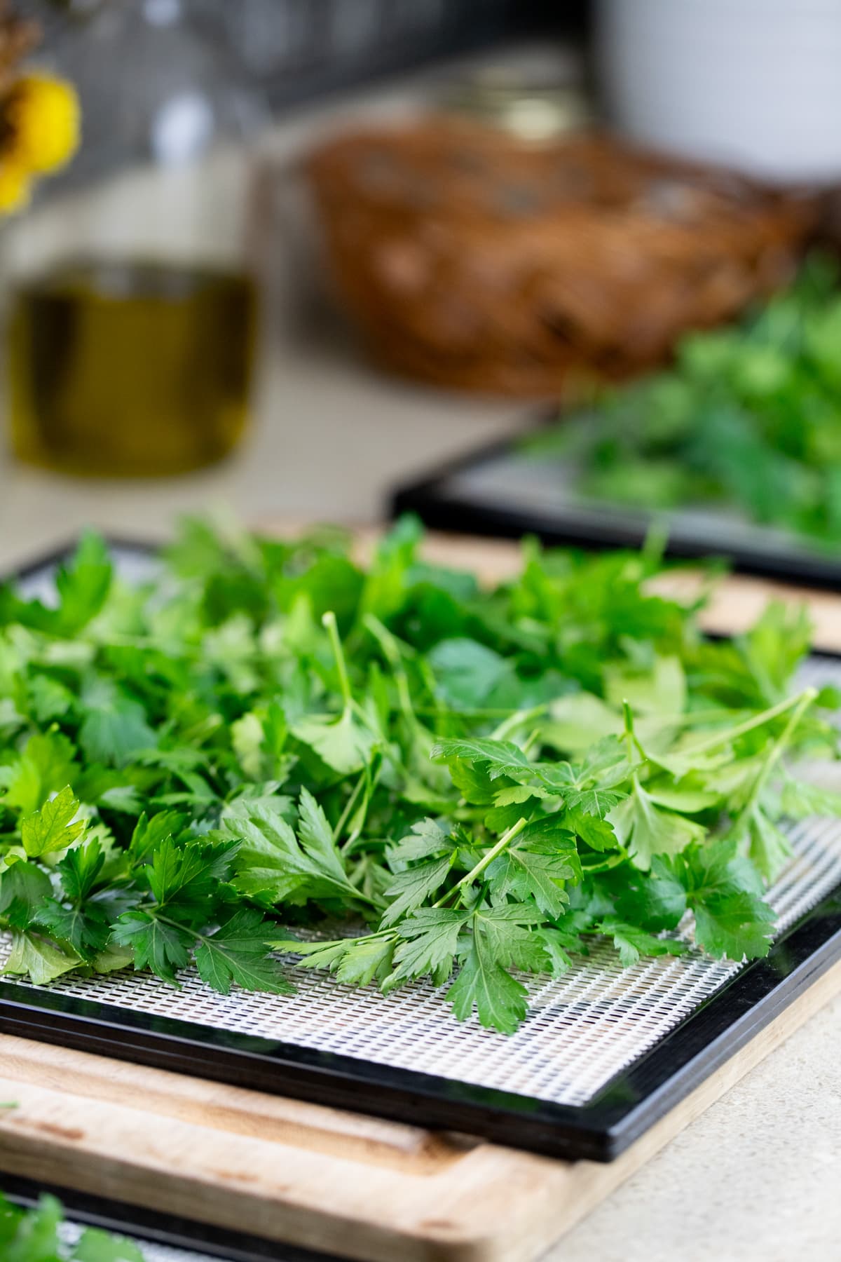 adding parsley onto the trays of the dehydrator