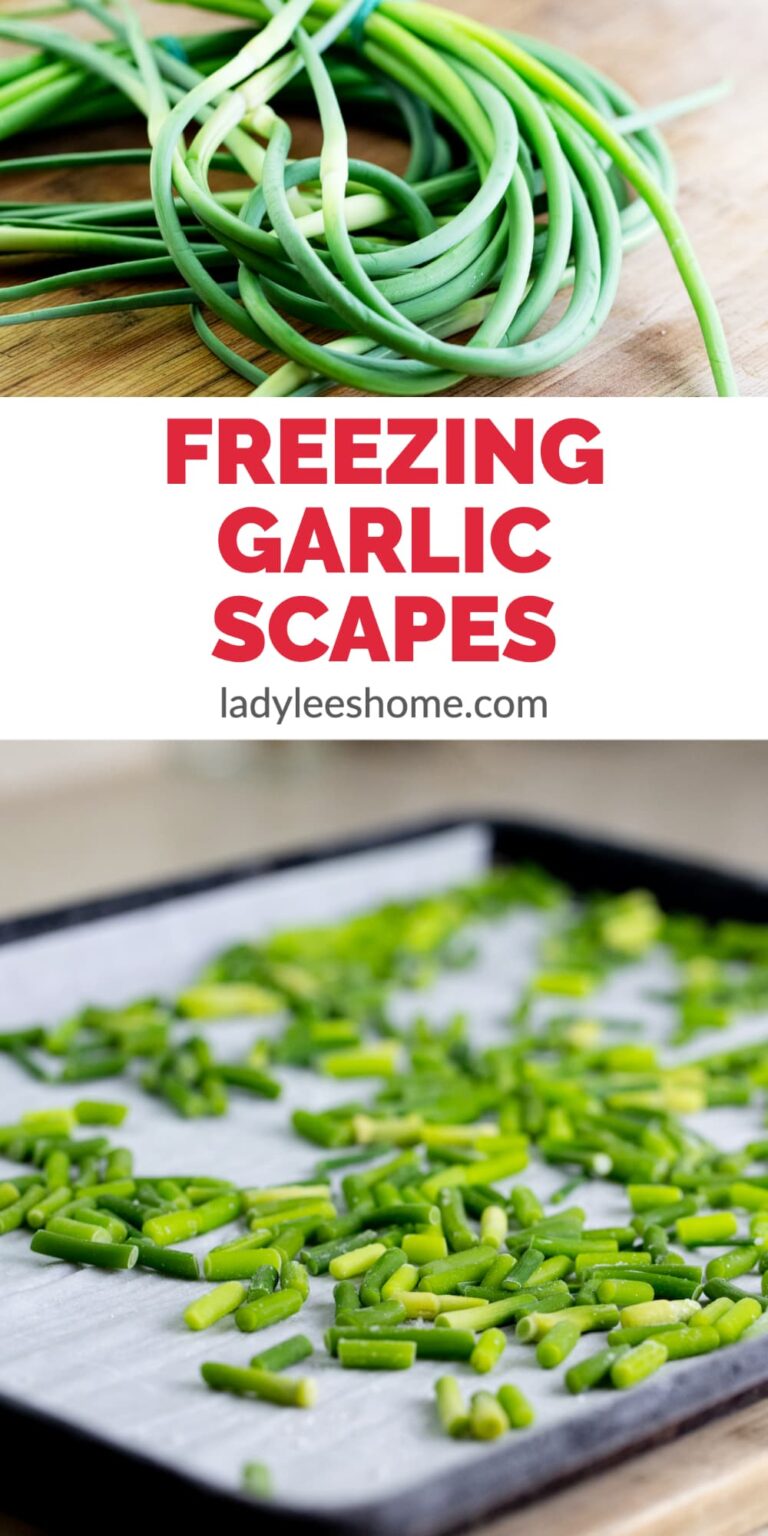 Freezing Garlic Scapes Lady Lee's Home