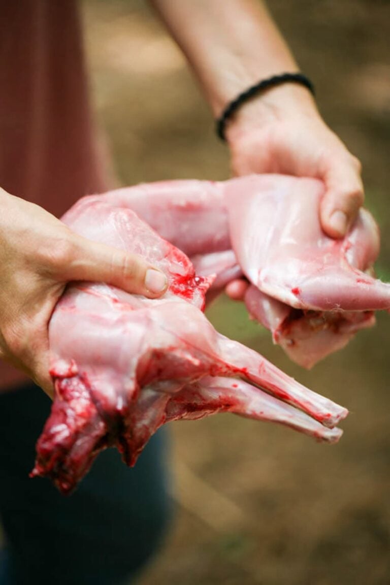 How to Butcher a Rabbit