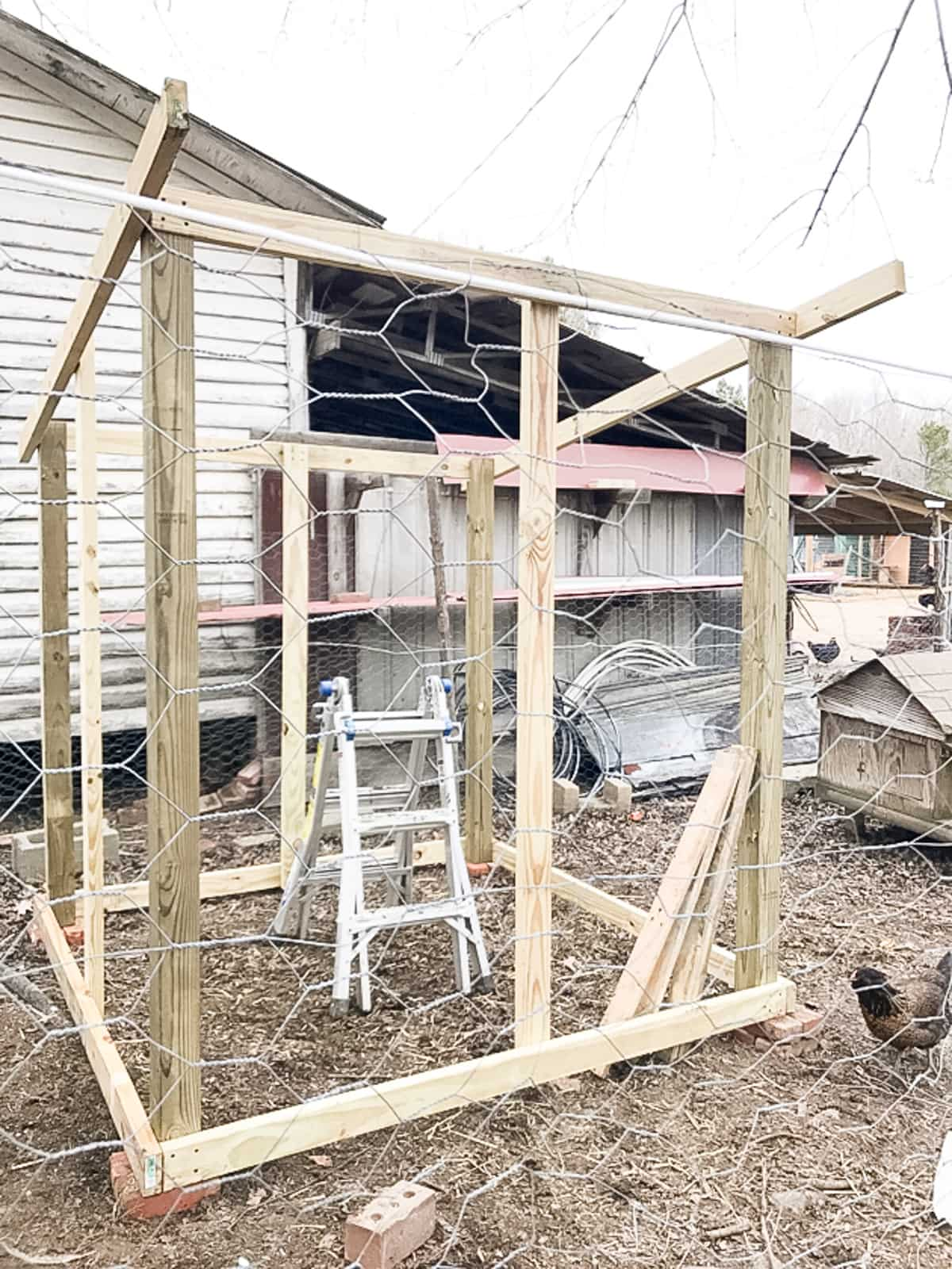 walls of the coop are framed