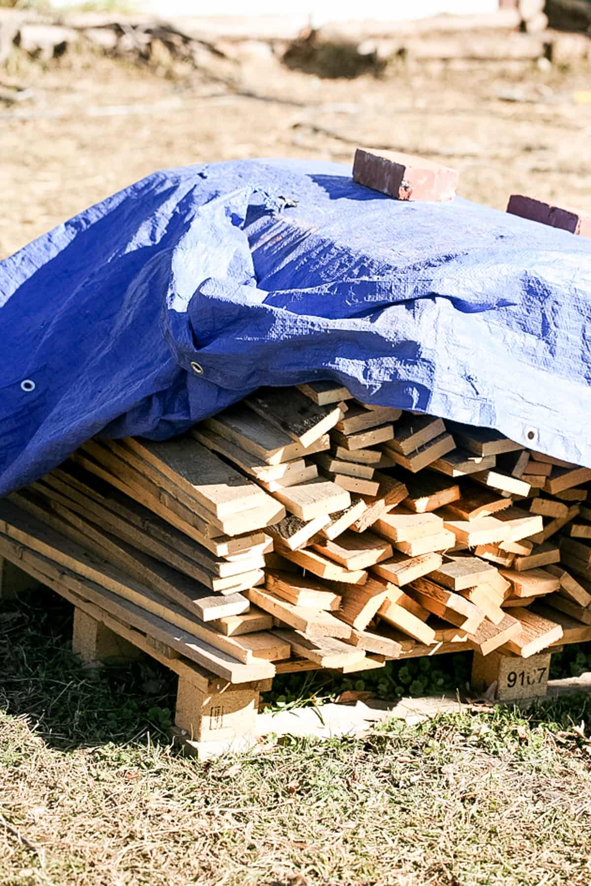 a pile of pallet wood plants