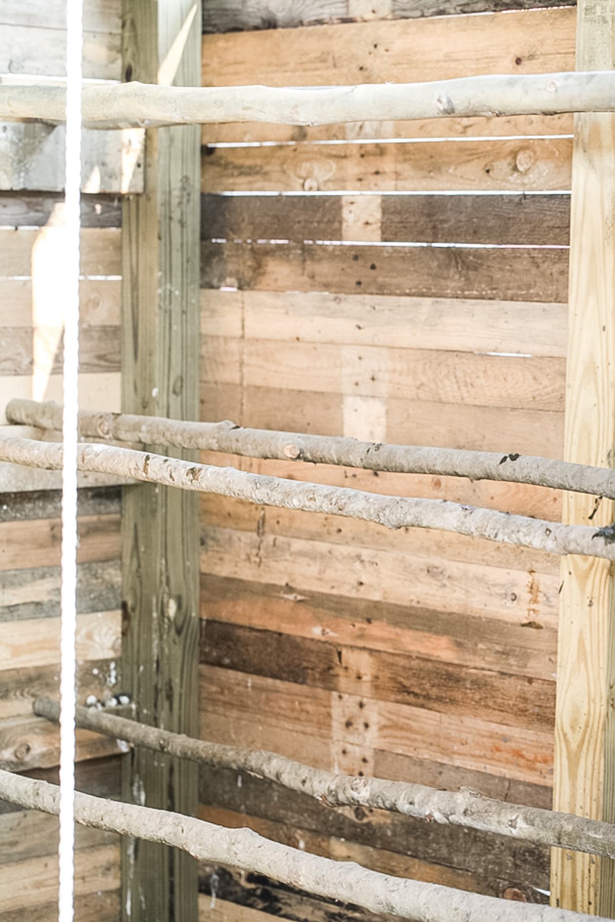 roosting bars inside the chicken coop