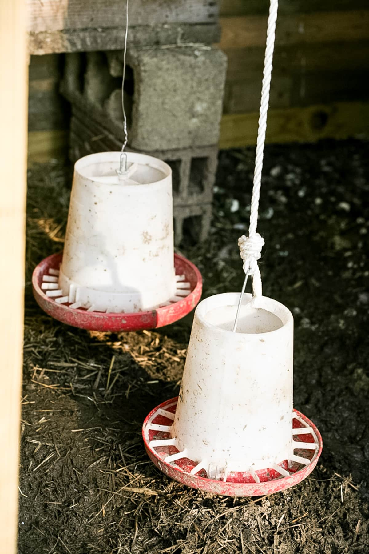 feeders hanging in the coop