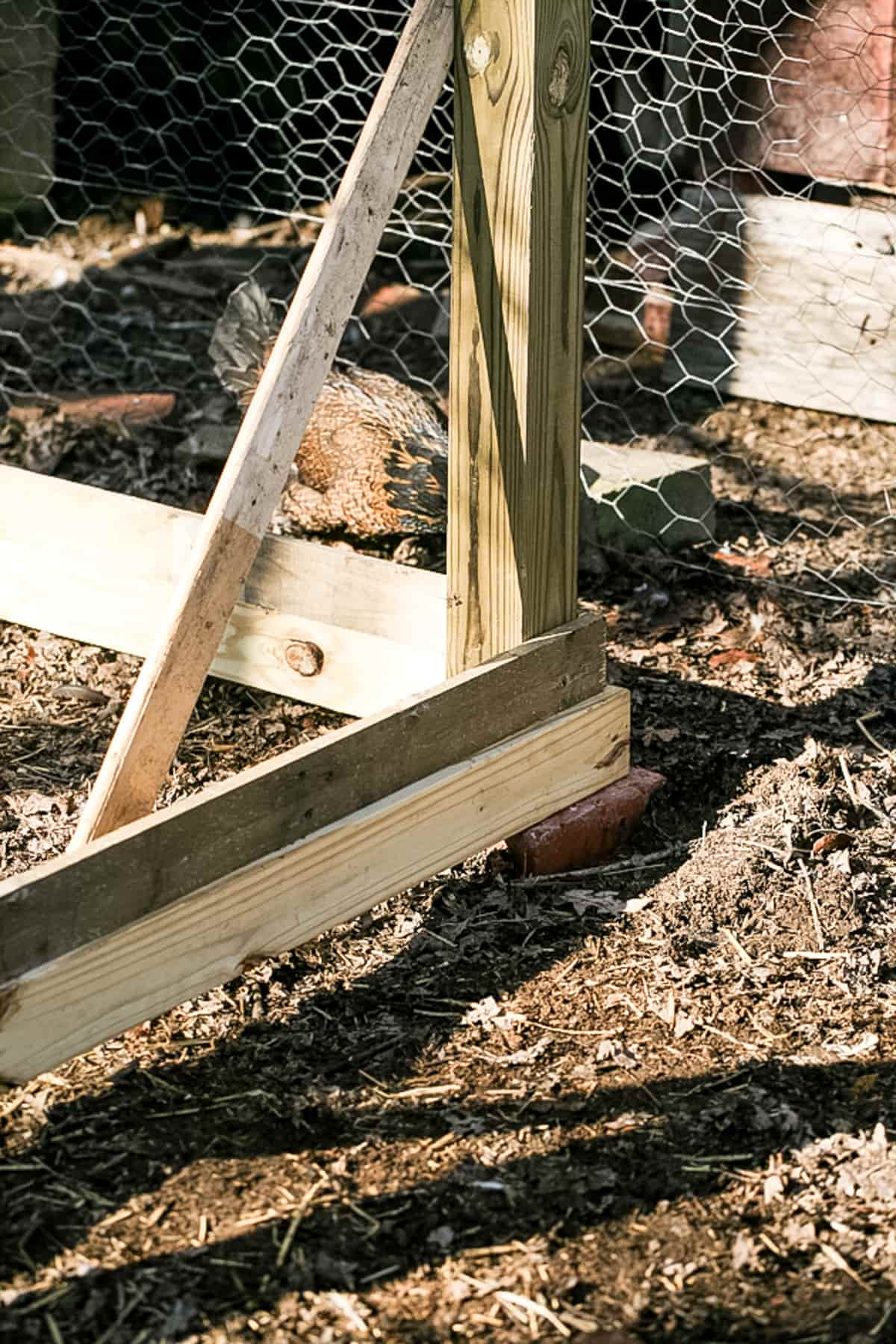 completing the bottom of the coop