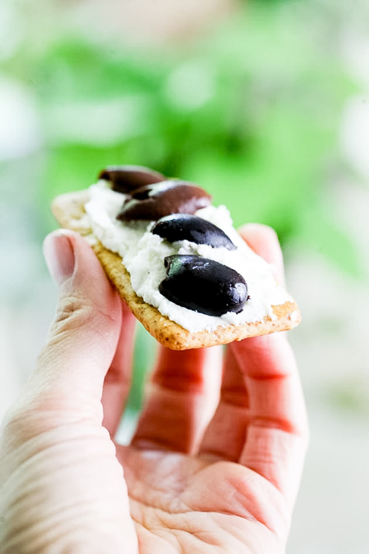 adding cheese on cracker