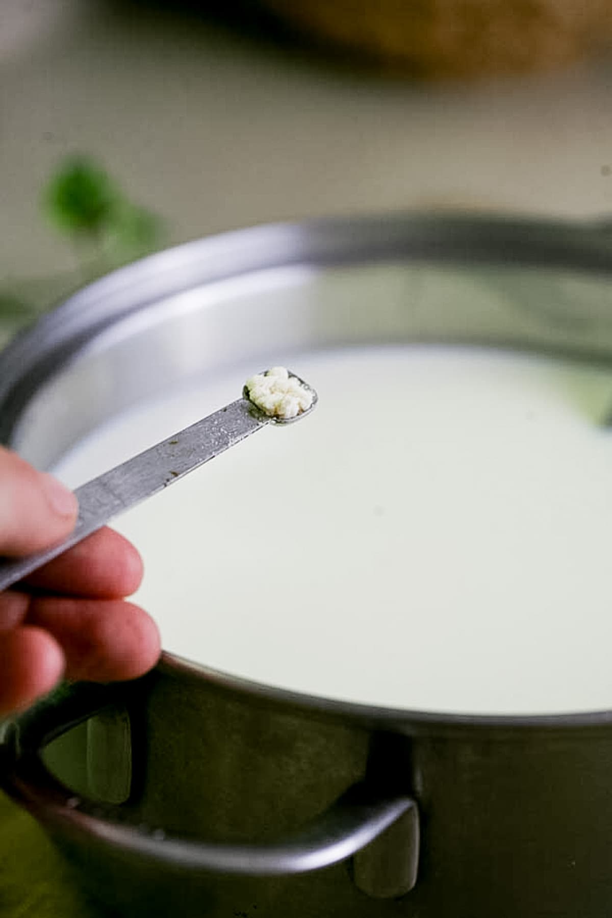 adding chevre culture