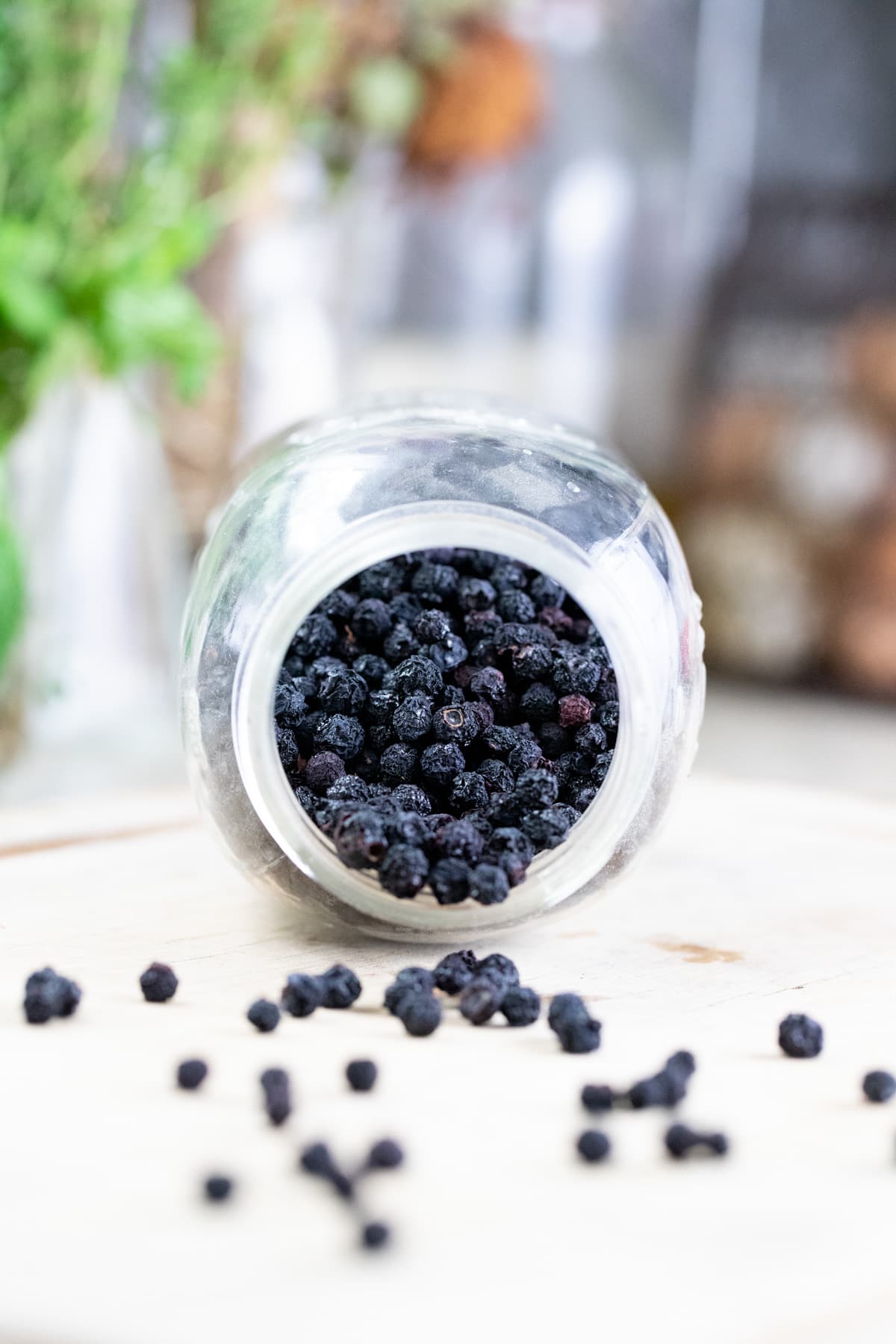 dehydrated blueberries