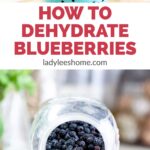 how to dehydrate blueberries pinterest image