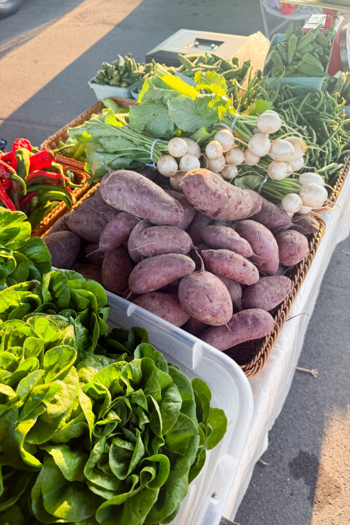summer veggies at the market