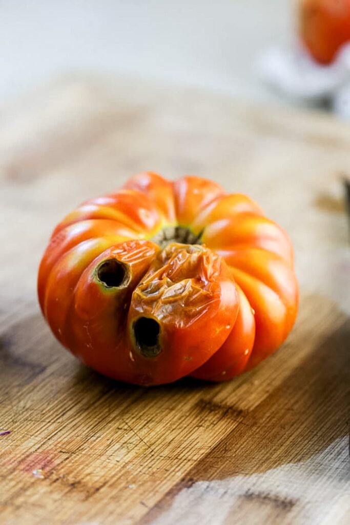 damaged tomato