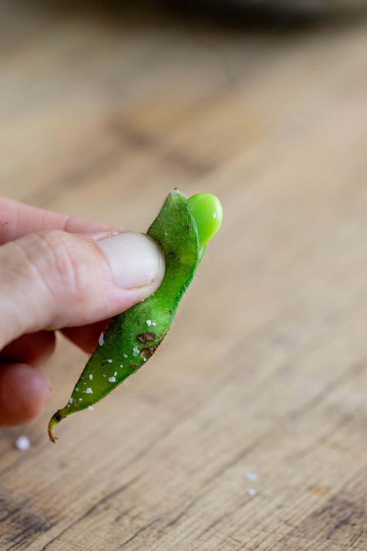 soy bean edamame