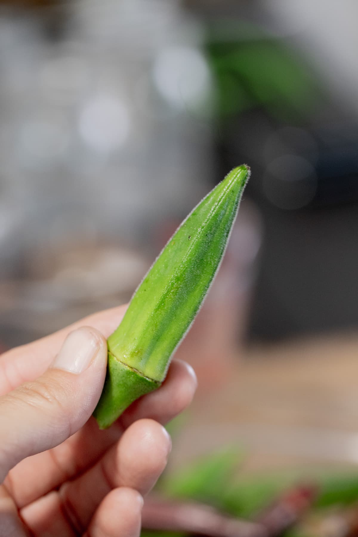 holding a small okra pod