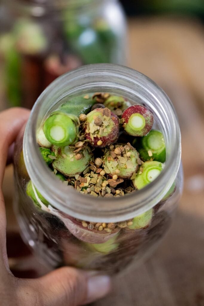 adding spices to the jar